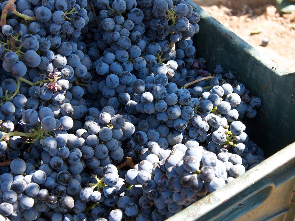 Отель Encuentro Guadalupe Экстерьер фото